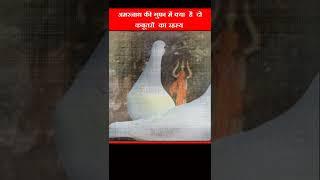 अमरनाथ की गुफा में क्या है दो कबूतरों  का रहस्य | Amarnath amar pigeon mystery