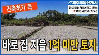 [매물번호0210] 제주도 가성비 토지 1억선에서 구입하실분 보세요