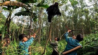 Chasing the monster Kong to rescue a single mother, ly tu sa