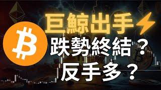 BTC 跌破 9 萬大關，巨鯨出手了！跌勢已經滿足，反手做多？｜【日日幣選】20250226 (三)