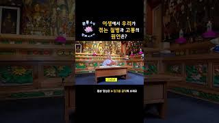 이번 생에서 우리가 겪는 질병과 고통의 원인은?