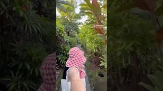 like a butterfly #wings #butterfly #travel #bali #indonesia #solotravel #yolo #shorts #summer