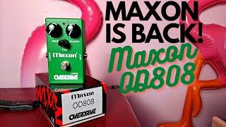 Is The Maxon OD808 the ULTIMATE Overdrive Pedal?