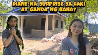 PART 37 | DIANE HINDI MAKAPANIWALA NA MALAPIT NA MATAPOS ANG BAHAY NILA