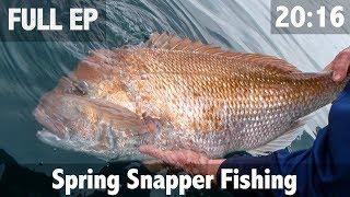 Spring Snapper Fishing