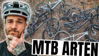 MTB Arten erklärt: Cross Country, All Mountain, Enduro, Downhill, E-MTB & Dirt Jump | Fabio Schäfer