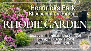 Hendricks Park Rhododendron Garden Springtime Tour