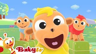 Ovelhinha Mé-Mé | Canções & Rimas | BabyTV Português