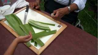 How to make Aloe Vera gel?