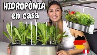 Aprende Conmigo "Cultivo HIDROPÓNICO en Casa" LETPOT 🪴/ Cultivo Hidropónico desde Cero paso a paso