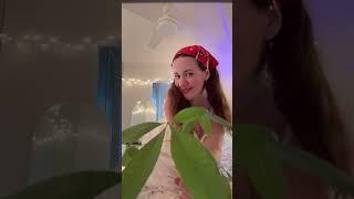 Periscope live LOVELYGIRL  #periscope #live #broadcast #livestream