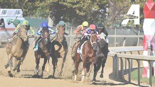 Belmont at the Big A Simulcast - October 12, 2024