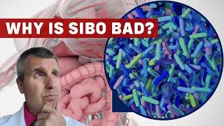 What is SIBO?