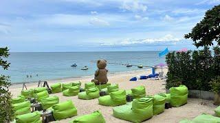 Teddy Weed beach club | Lamai | Koh Samui | Thailand | Live on the beach