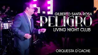 Gilberto Santa Rosa con Orquesta Femenina D'Cache - Peligro | Salsa en Vivo