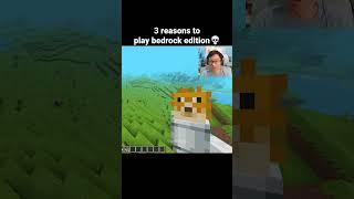 Minecraft Cute Moment