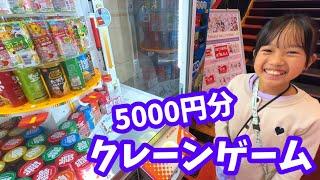 【クレーンゲーム】5,000円で何個とれた？　まりいずでチャレンジ！