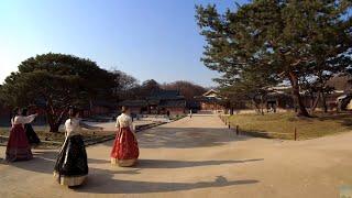 4K [ قصر تشانغيونغ ] Changgyeong Palace ~( 창경궁 함양문~) [ قصر تشانغدوك ] Changdeokgung Palace ( 창덕궁 )