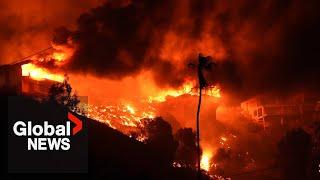 LA wildfires: How record rain contributed to the devastation of the California fires