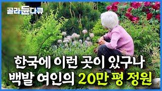 어느 날 갑자기 나타난 백발 여인. 평범한 시골 마을이 꽃밭으로 변한 놀라운 사연｜20만 평 정원｜한국기행｜#골라듄다큐