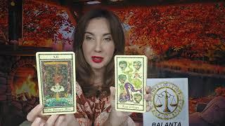 WEDNESDAY  NOVEMBER 13 ‍️ DAILY HOROSCOPE TAROT ON THE SIGNS ️️️️️️️️️️️️