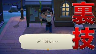 掲示板のフクロウを捕まえる方法【あつ森/裏技検証】