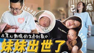 【最後的懷孕日記】驚心動魄的生產倒數老公居因差點因為XX錯過女兒出生第二胎真的較容易生嗎？差點想動手打助產士 |【potatofishyu】