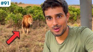 Why this Lion won't attack me | Dhruv Rathee vs Wild