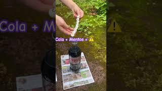 Coke & Mentos reaction  #shorts #cuteanimalclips #animals #explosion #mentos #cola