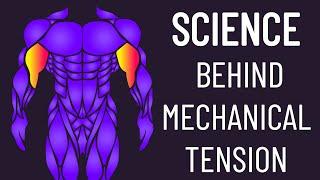 The Research on Mechanical Tension and Hypertrophy