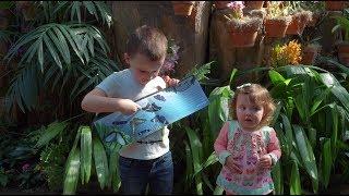 Experience the Butterflies at Meijer Gardens