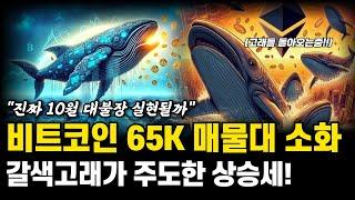 비트코인 65k 강한 매물대 소화완료! 갈색고래가 주도한 상승세는 무슨 의미일까 | 10월 대불장 전망 호재 분석