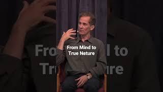 From Mind to True Nature #rupertspira #nonduality #spirituality #enlightenment #meditation
