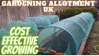 Cost Effective Vegetable Growing [Gardening Allotment UK] [Grow Vegetables At Home ]