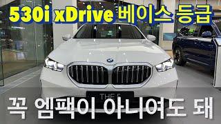 [BMW 김대위]530i xDrive 베이스 모델 화이트 / 코퍼브라운시트! 엠팩만 좋은거 아니야, 가성비는 이게 최고야!!!