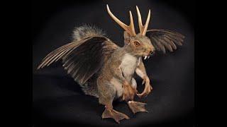 Cryptids and Monsters:  Wolpertinger, Hoax or a real Cryptid found in Germany?