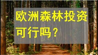 在欧洲买森林投资，可行吗？欧洲投资移民生活到底啥样？ 海外房地产。了解你要投资买房，拿永居绿卡的地方。华人看欧洲新闻，大利波兰匈牙利奥地利希腊西班牙葡萄牙