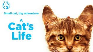 A Cat's Life | Official U.S. Trailer