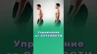 Как улучшить осанку? #осанка #центрздоровья #титовцентр