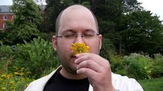 Mark Mulcahy - 'Taking Baby Steps' (Official Video)