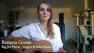 Banana Goose - Big Jet Plane (Angus & Julia Stone)