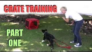 Crate Training- Part 1- Dog Training