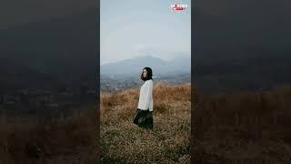 #shorts #status #shortvideo #viral #viralshort #lovestatus #lovesong #viralstatus(vks ▶️ yt status)