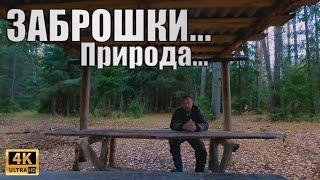 ЛЕСНАЯ прогулка за МЕТАЛЛОМ/ Металлокоп у ПРОПАВШЕЙ ДЕРЕВНИ \ ВСЕ ТАКИ копнул МЕТАЛЛА!