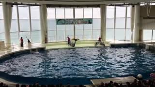 Oarai AquaWorld 2016