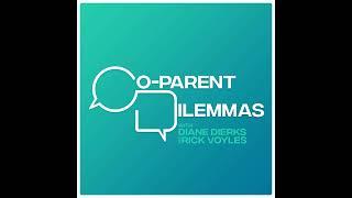 S4.E26. Who Gets Final Say? Another Parenting Plan Disaster