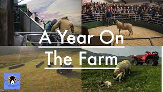A Year On the Farm (2019)