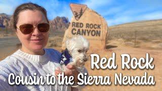 Red Rock cousin to Sierra Nevada