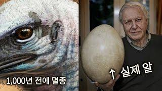 불과 1000년 전에 멸종한 마다가스카르의 공룡