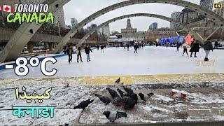 Toronto's Famous Ice Rink is Back at Nathan Phillips Square | A Must-Visit for Skating Lovers!